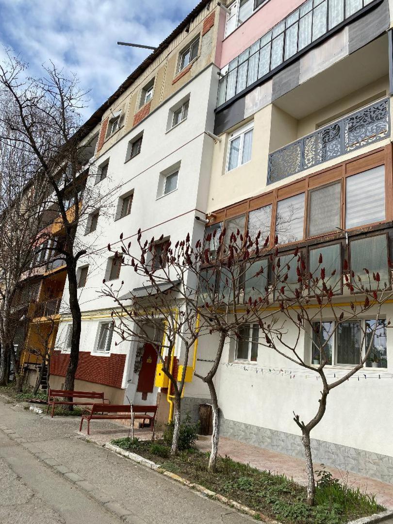 Apartament Ultracentral Botis Sighetu Marmatiei Exterior photo